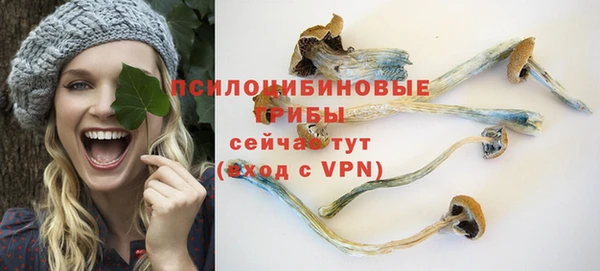 apvp Белоозёрский