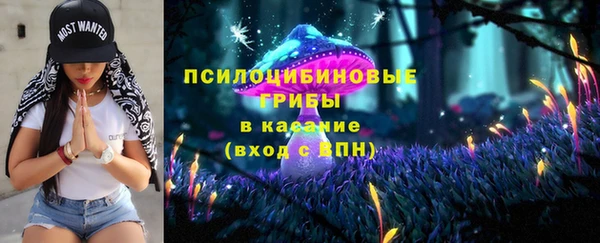 гидра Беломорск